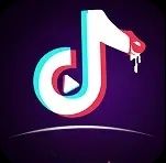 tiktok成人版